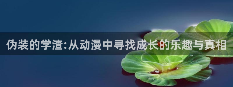 半糖次元51动漫