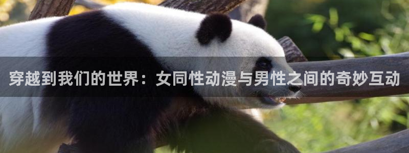 51动漫在线观看网站